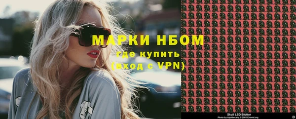 гашик Аркадак