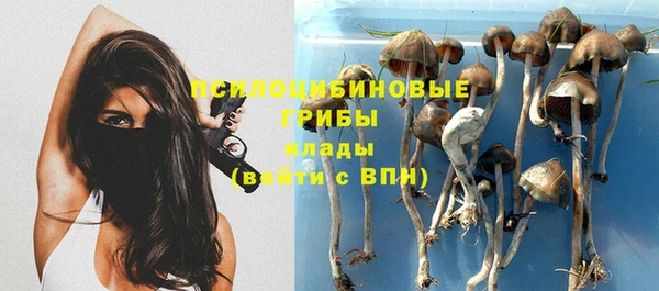 соль ск Остров