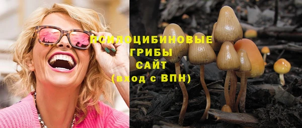 гашик Аркадак